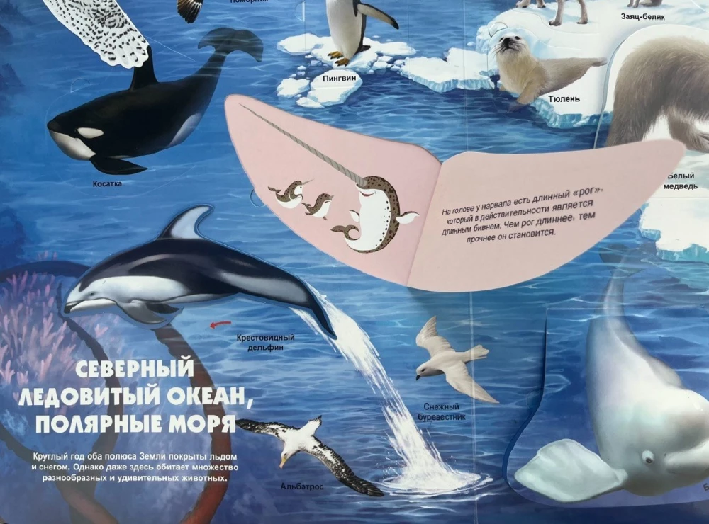 Jūras pasaules noslēpumi. Grāmata ar 3D logiem un lielu puzli